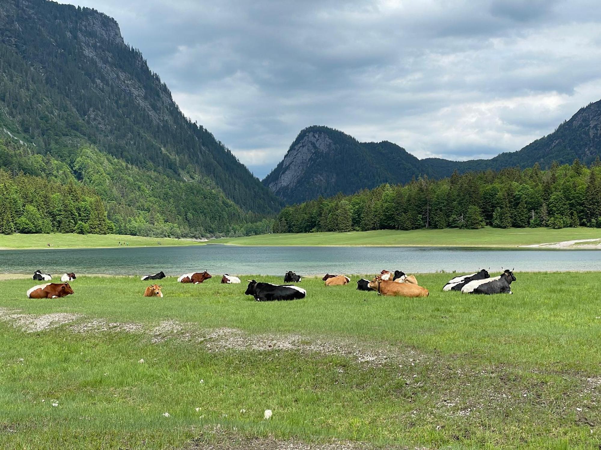 Ferienwohnung Eisenberger Inkl. Chiemgaukarte Ruhpolding Exterior foto