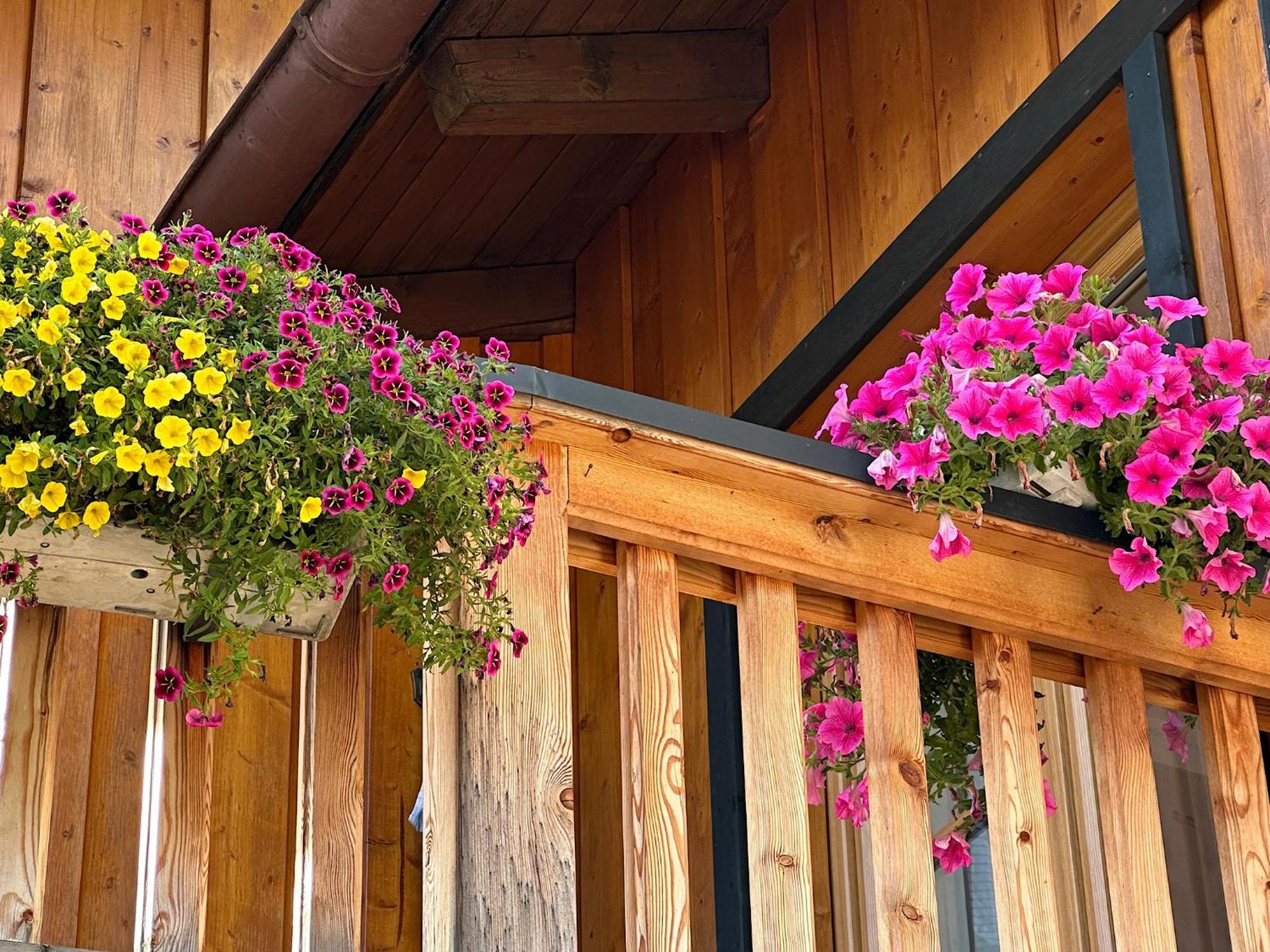 Ferienwohnung Eisenberger Inkl. Chiemgaukarte Ruhpolding Exterior foto